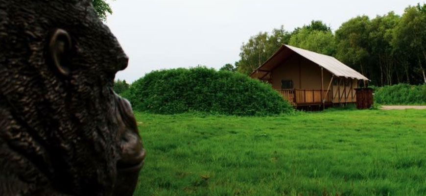 Bainland Country Park Safari Tent exterior