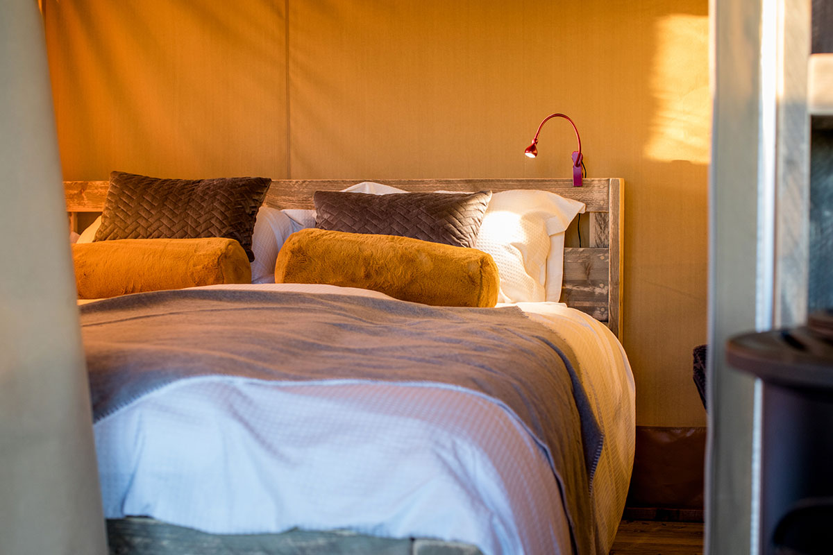 Safari Tent Plus Range bedroom