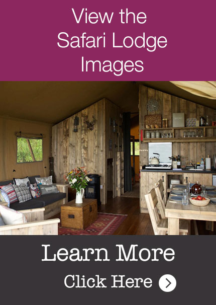 Safari Lodge Images