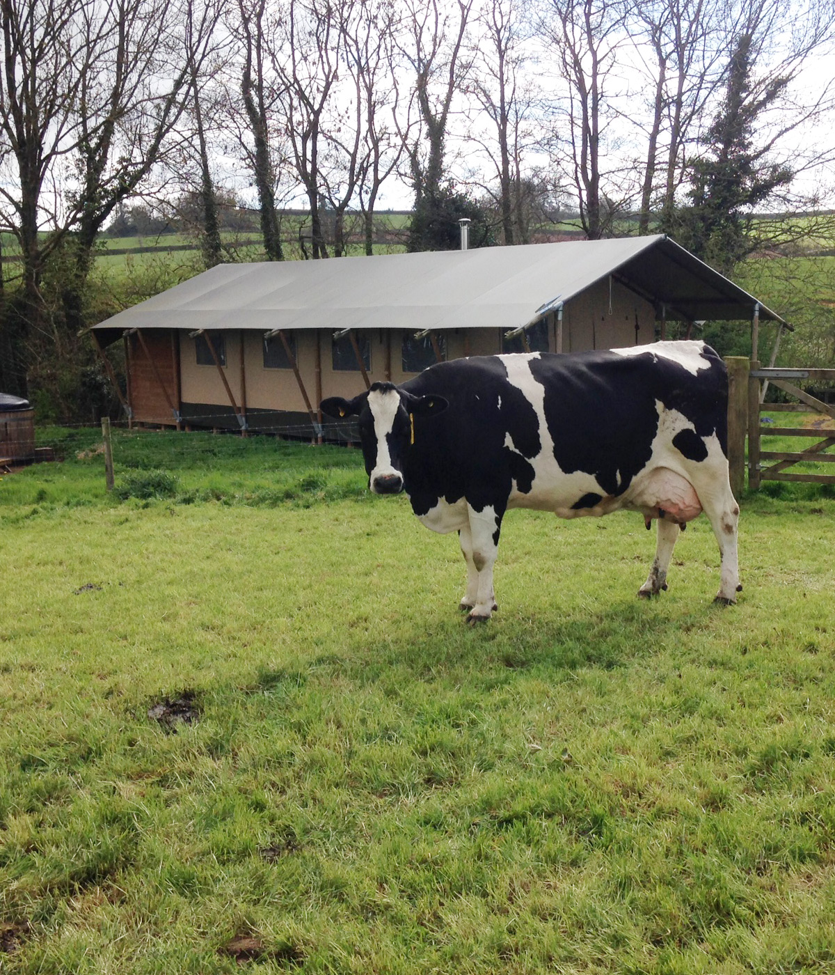 Chegworth Glamping 