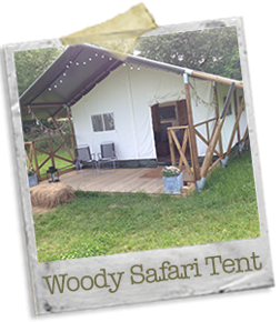 Wooden Safari Tent